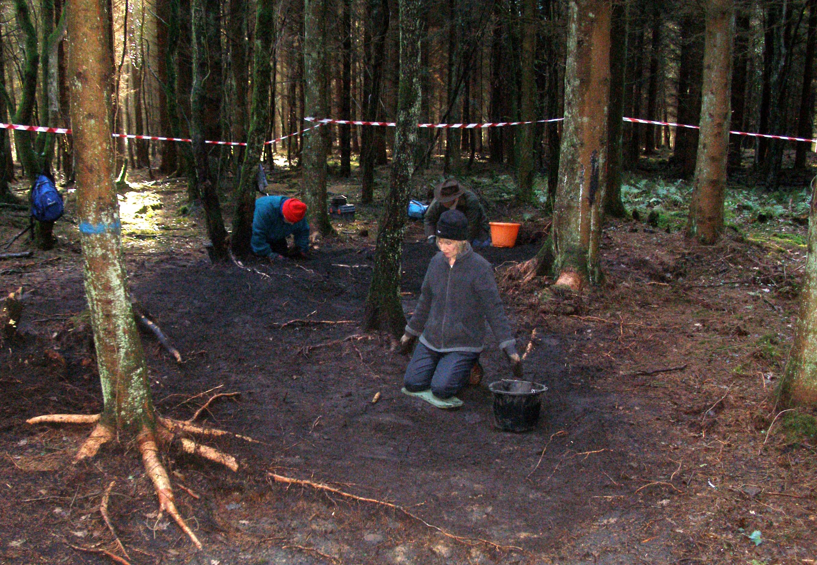 Digging charcoal hearths in Wentwood Forest
